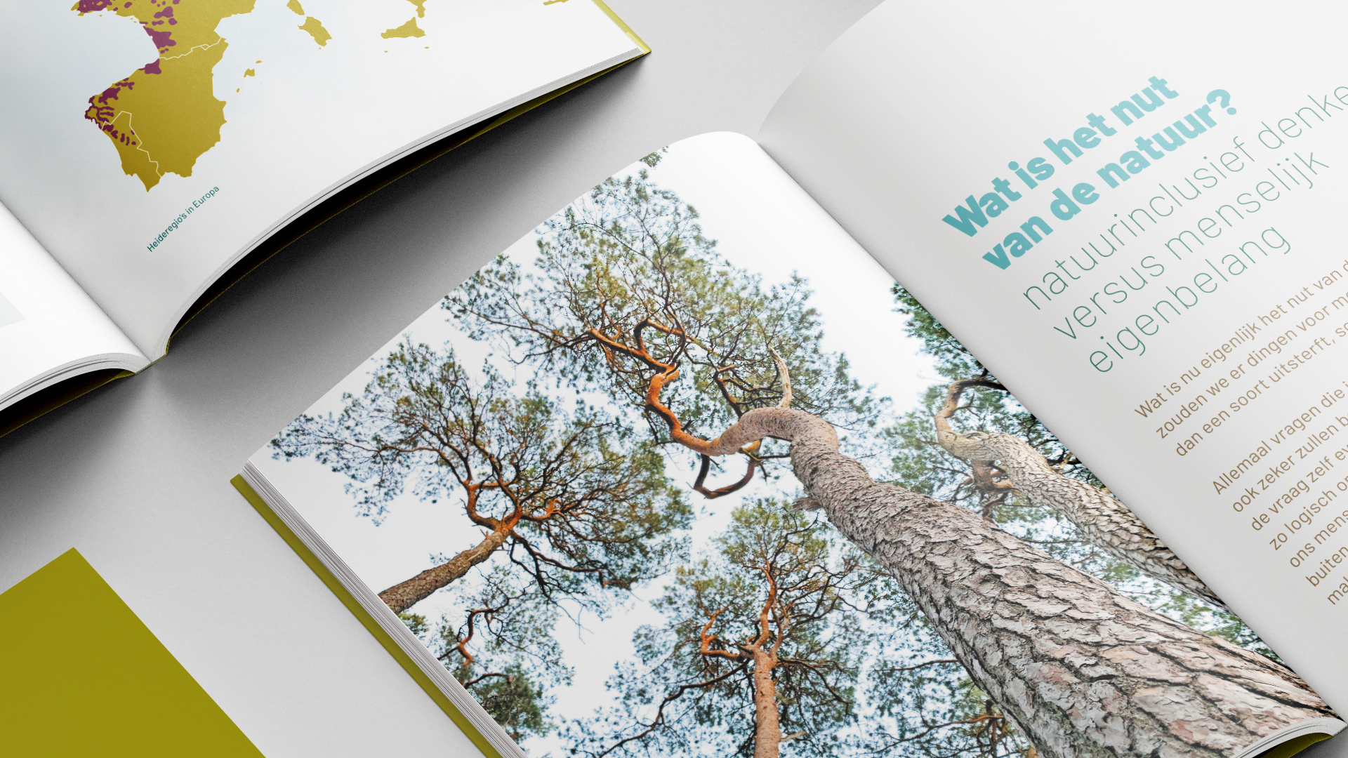 Goois Natuur&shy;reservaat